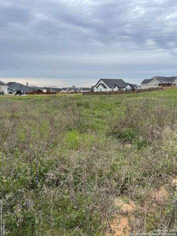 116 Bayberry Court La Vernia TX 78121