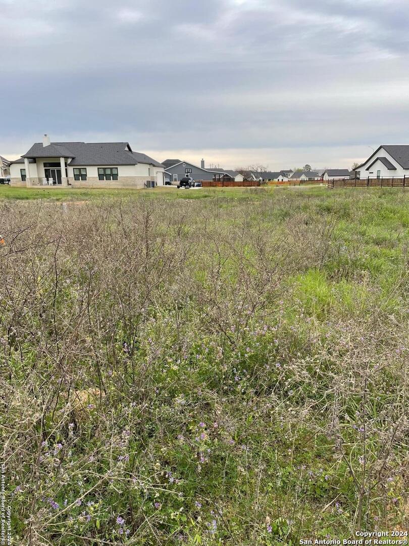 116 Bayberry Court La Vernia TX 78121