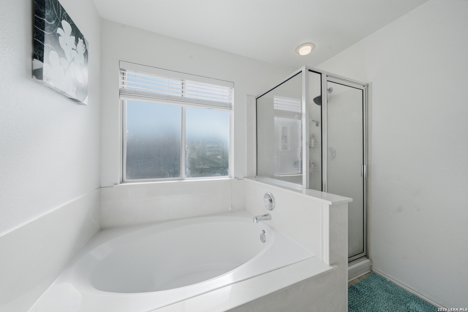 11823 Briarton Pass San Antonio TX 78254