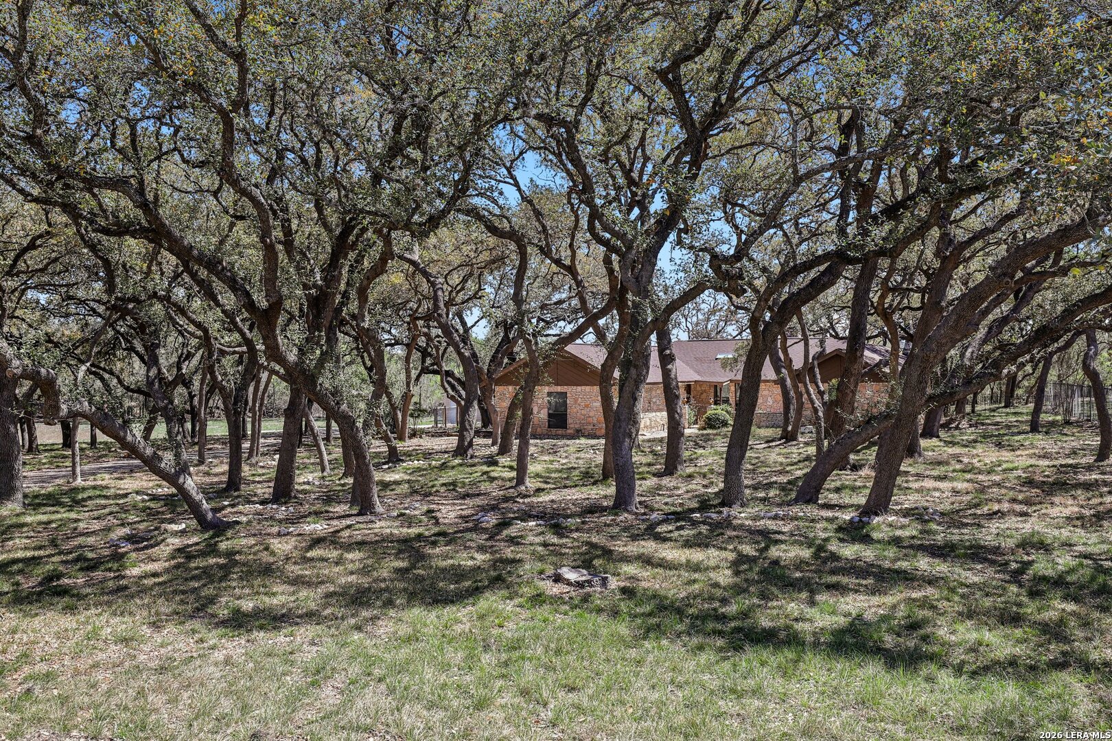 11810 Thoroughbred San Antonio TX 78253