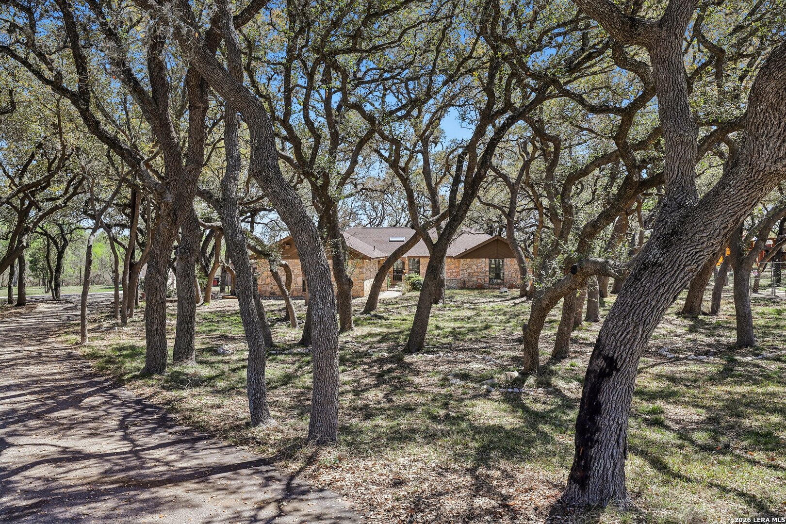 11810 Thoroughbred San Antonio TX 78253