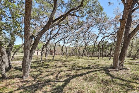 11810 Thoroughbred San Antonio TX 78253
