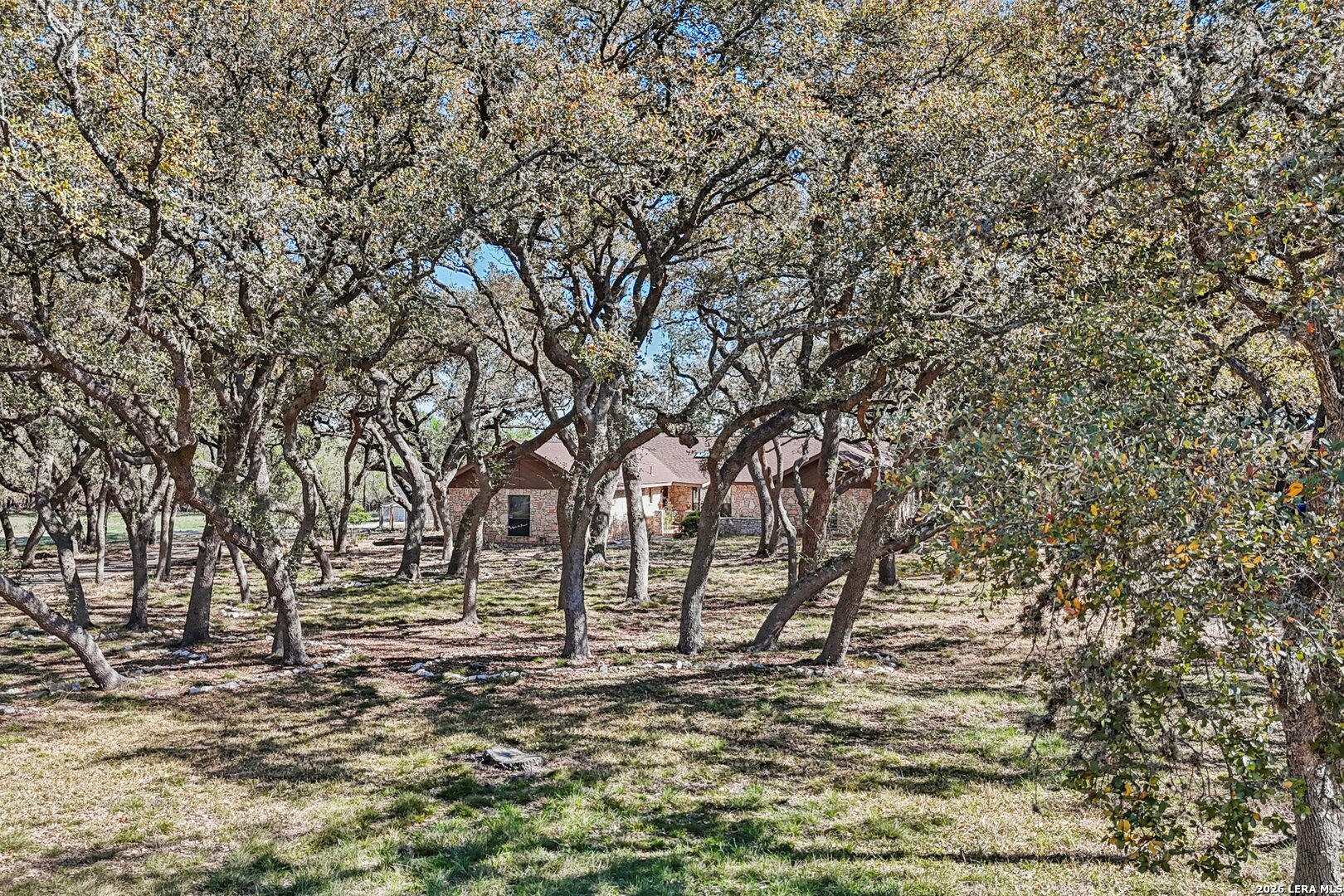 11810 Thoroughbred San Antonio TX 78253