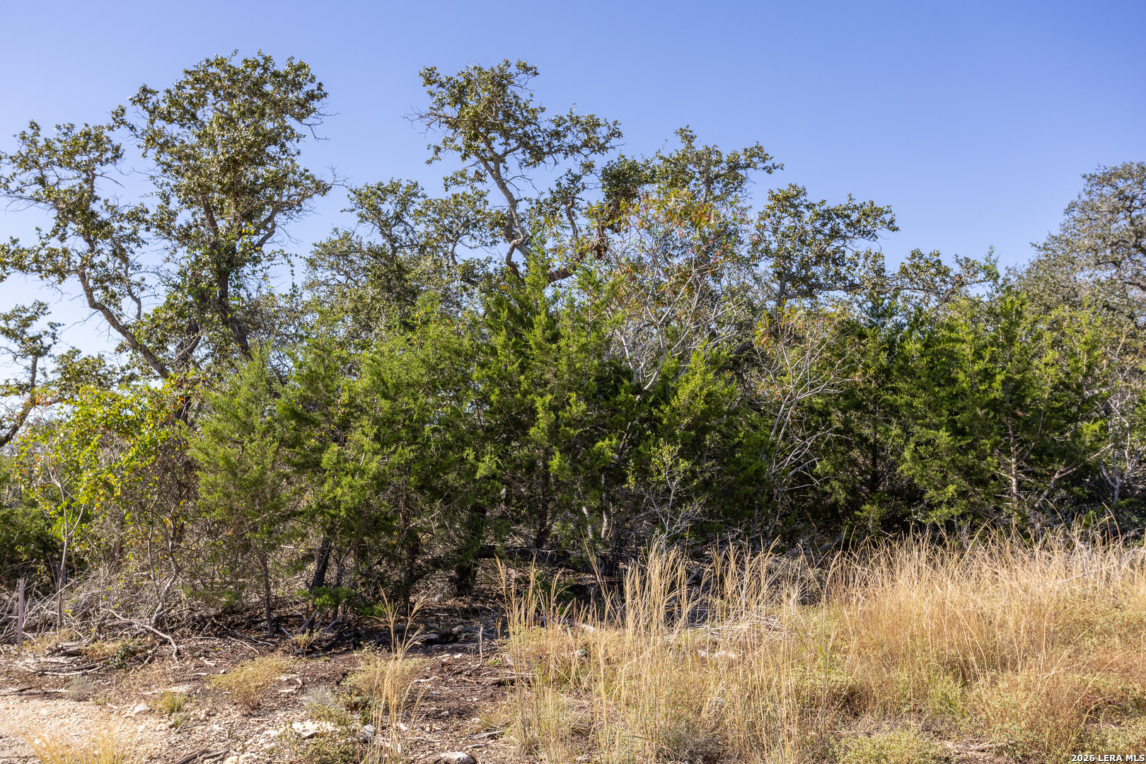 Block 1, Lot 13 Standing Tall Boerne TX 78006