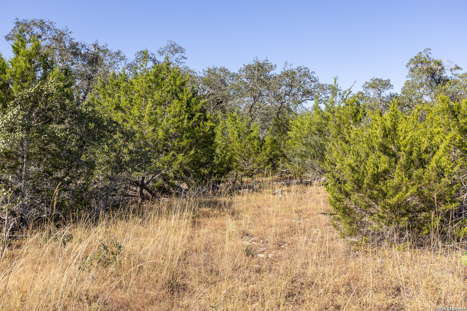 Block 1, Lot 13 Standing Tall Boerne TX 78006