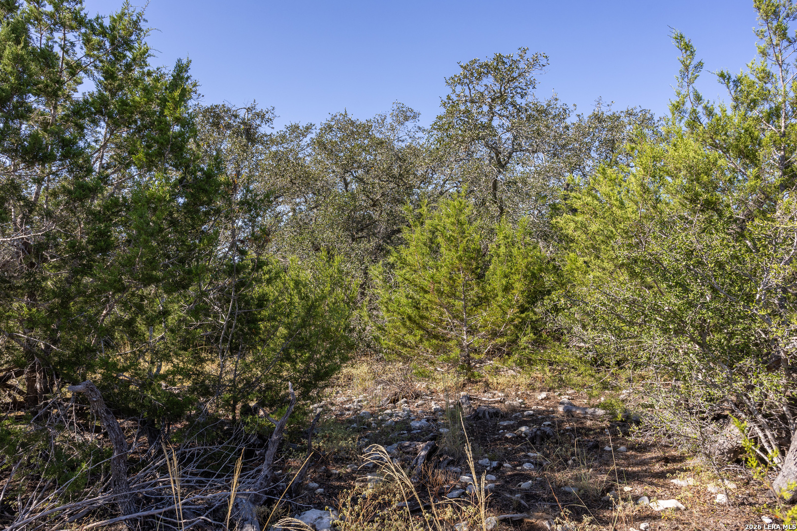 Block 1, Lot 13 Standing Tall Boerne TX 78006