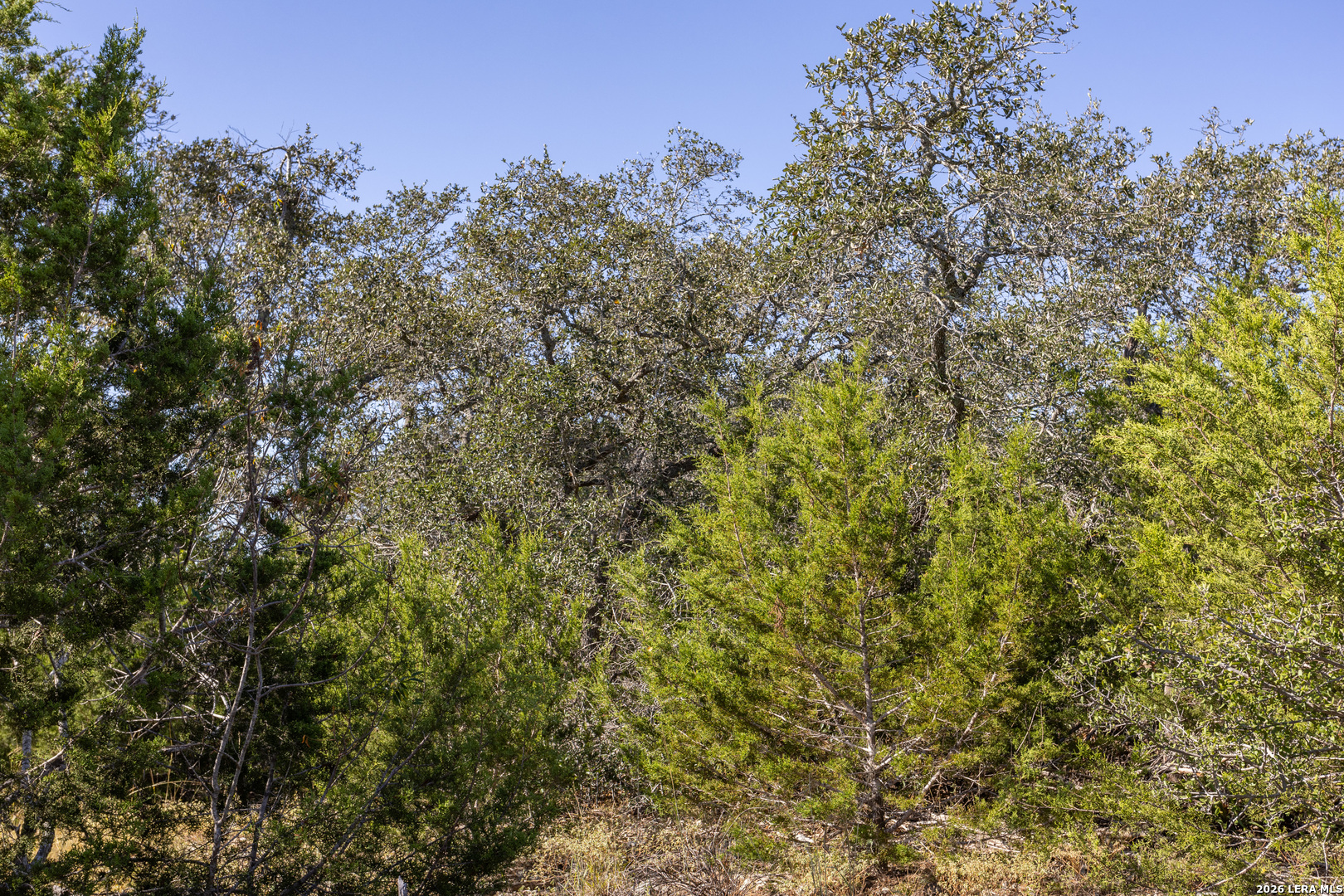 Block 1, Lot 13 Standing Tall Boerne TX 78006