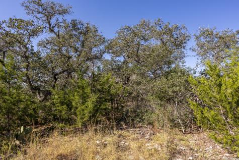 Block 1, Lot 13 Standing Tall Boerne TX 78006