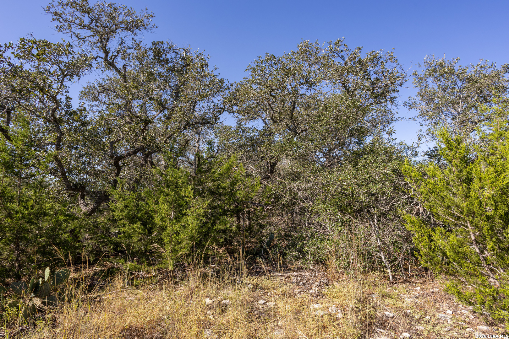 Block 1, Lot 13 Standing Tall Boerne TX 78006