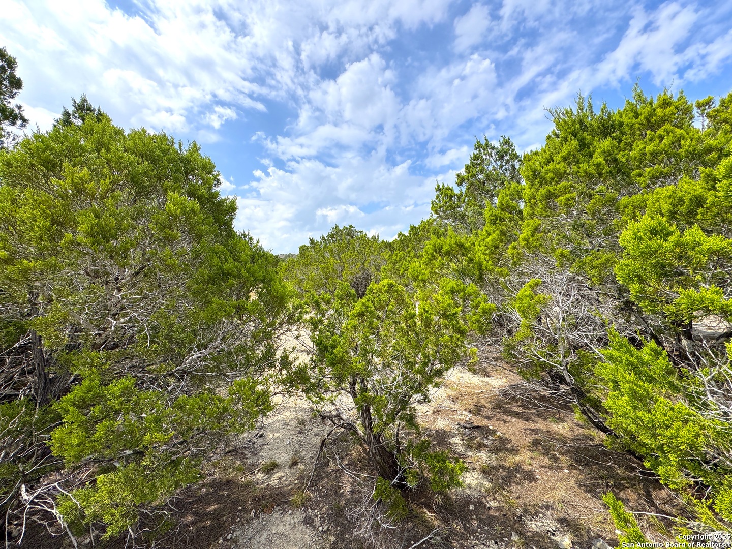 2085 Fm 484 Canyon Lake TX 78133
