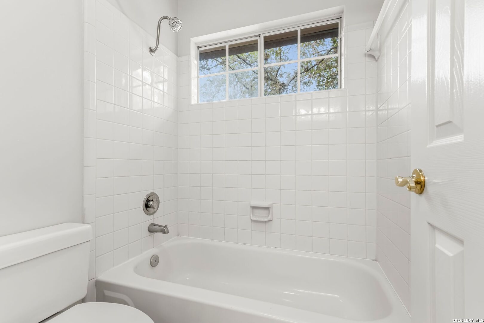 13702 Chittim Woods San Antonio TX 78232