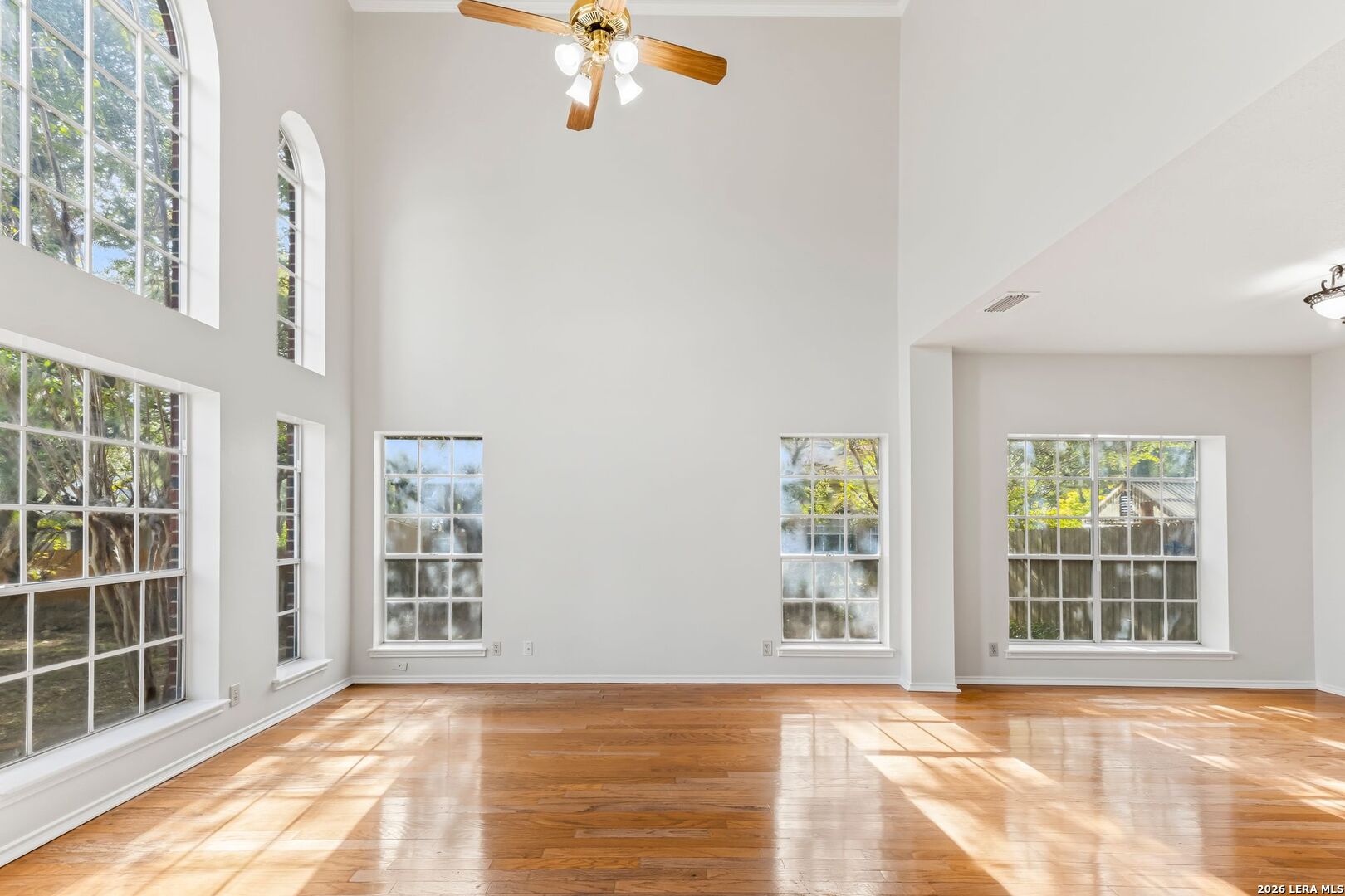 13702 Chittim Woods San Antonio TX 78232