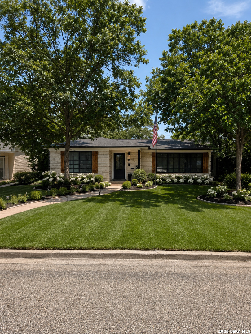 307 Tanglewood San Antonio TX 78216