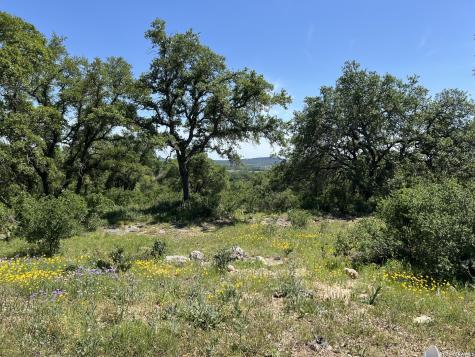 Lot 11 Canyon Rim Helotes TX 78023