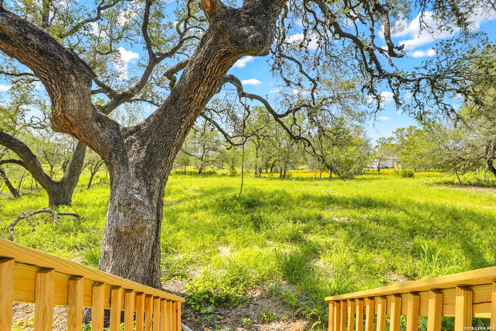 117 Gambel Trail San Antonio TX 78264