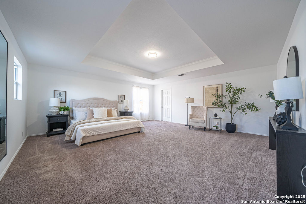 116 Texas Mulberry San Antonio TX 78253