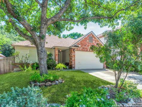 13523 Hickory Legend San Antonio TX 78247