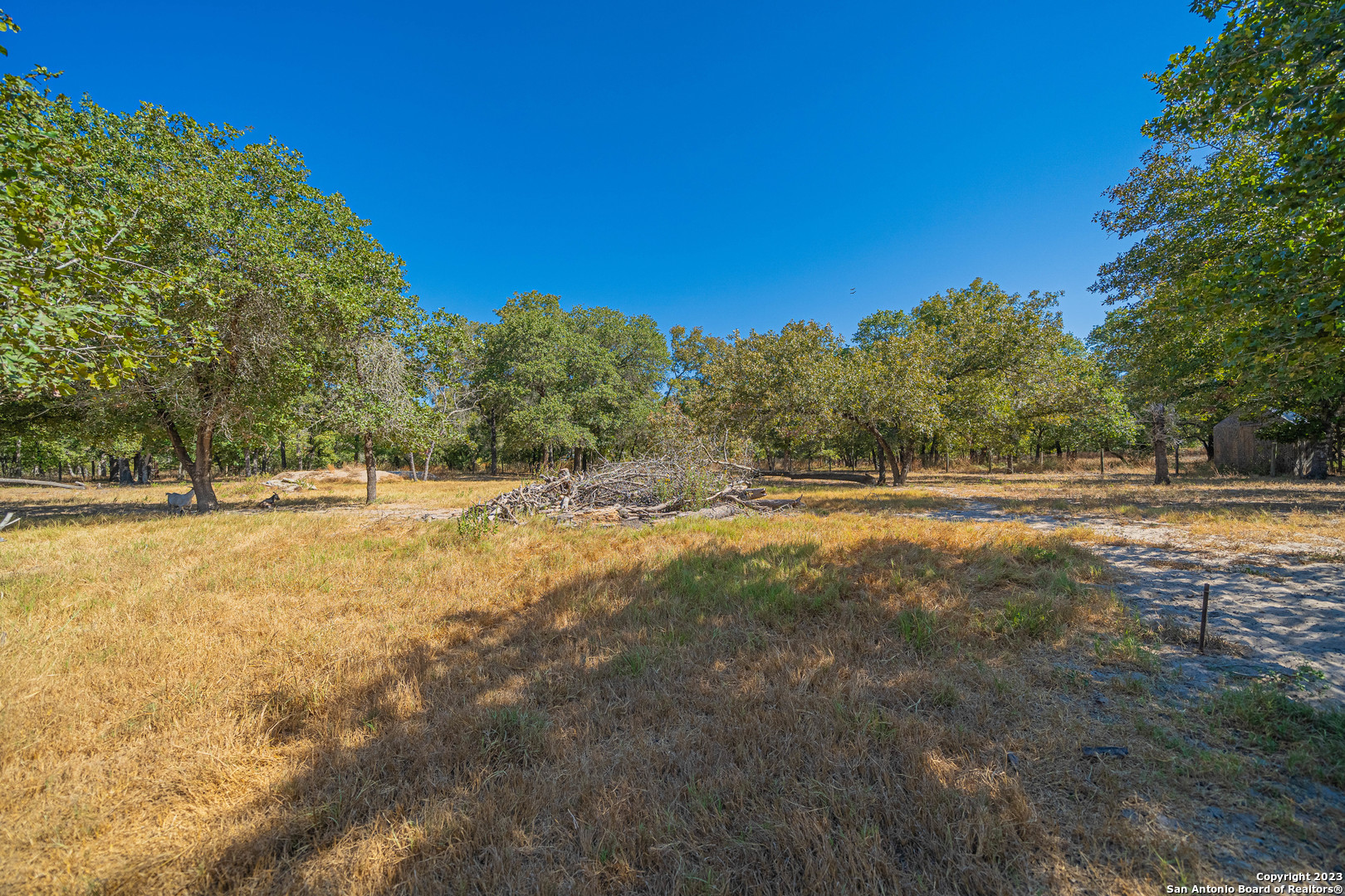 188 Oakview Drive La Vernia TX 78121