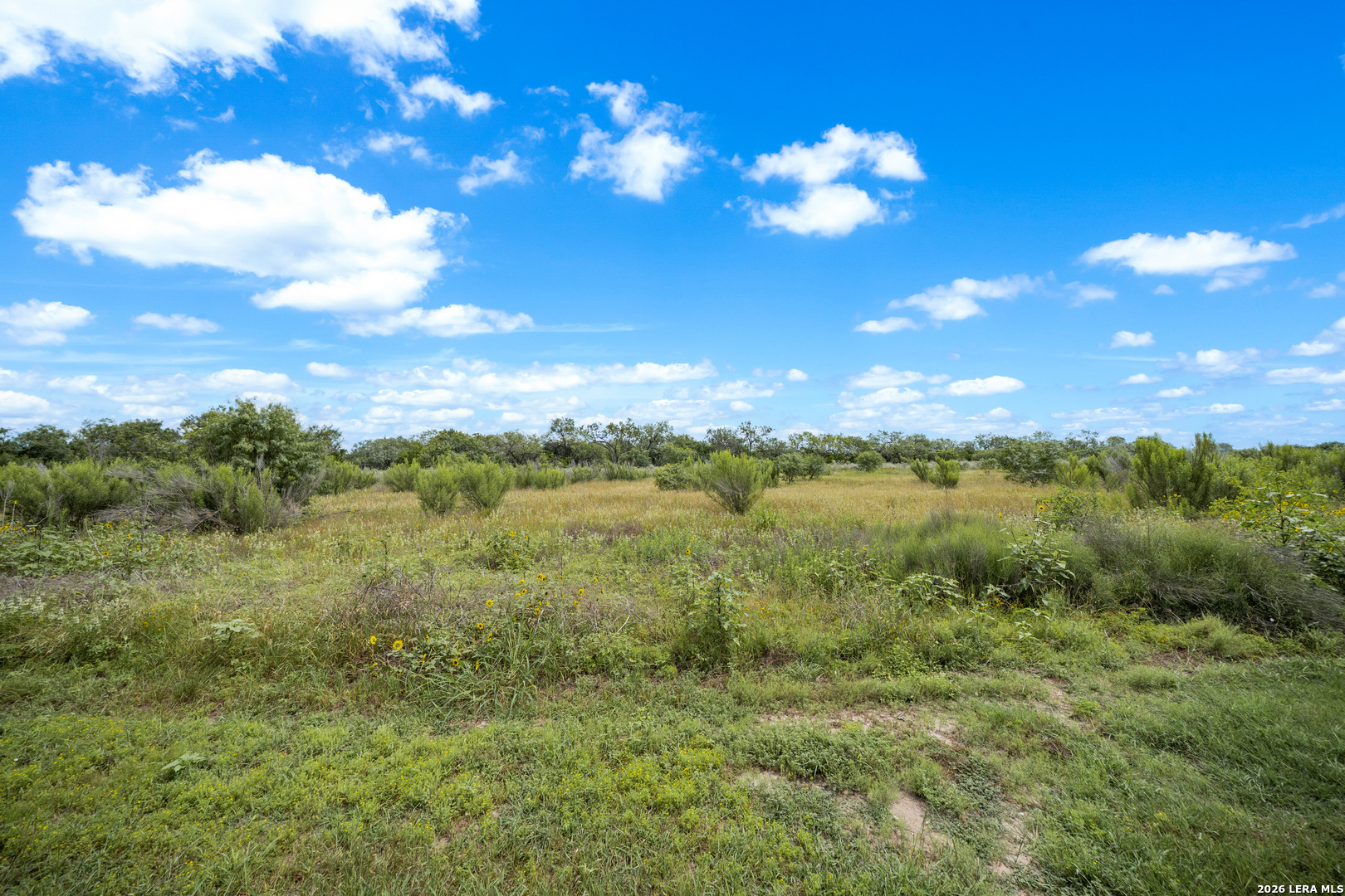 4435 Wrangler View San Antonio TX 78223