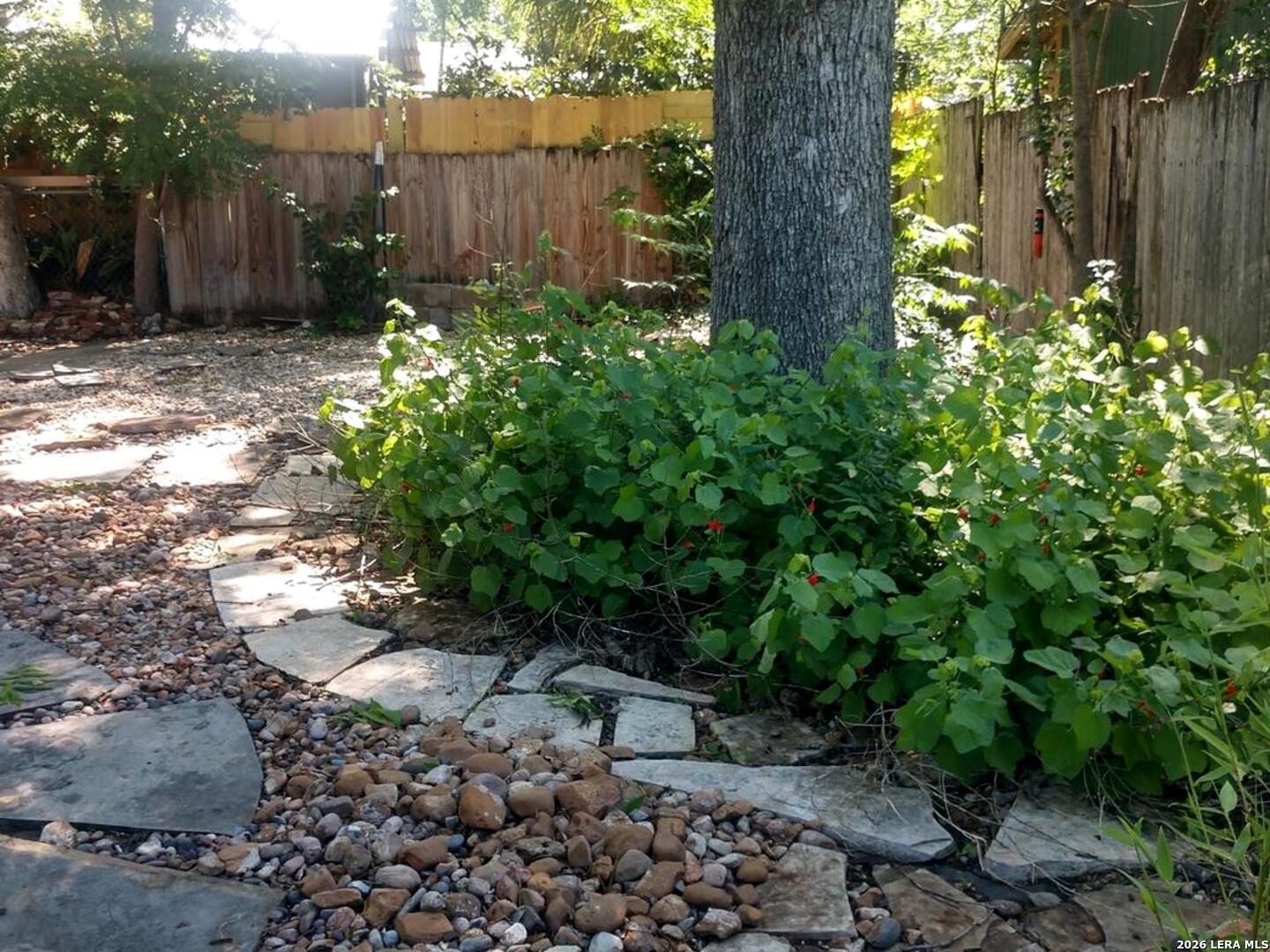 338 Queen Anne San Antonio TX 78209
