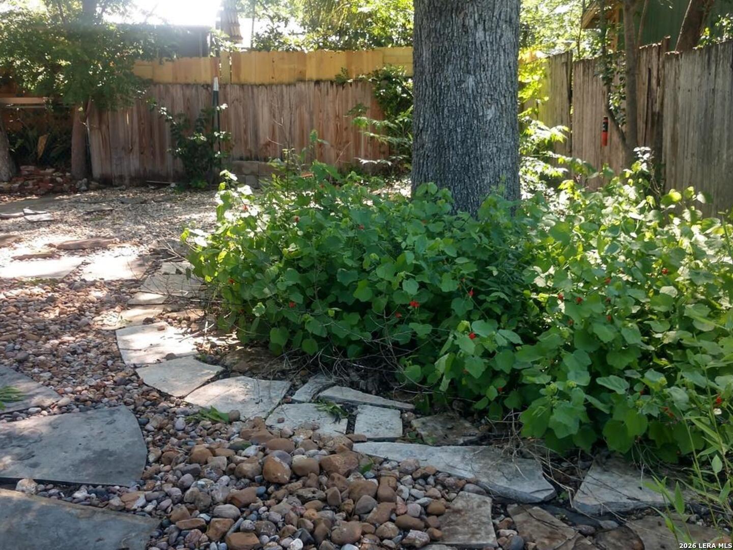 338 Queen Anne San Antonio TX 78209