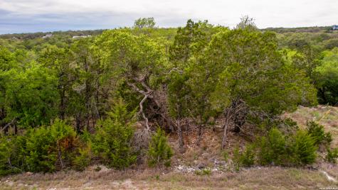 183 Palm Spring Branch TX 78070