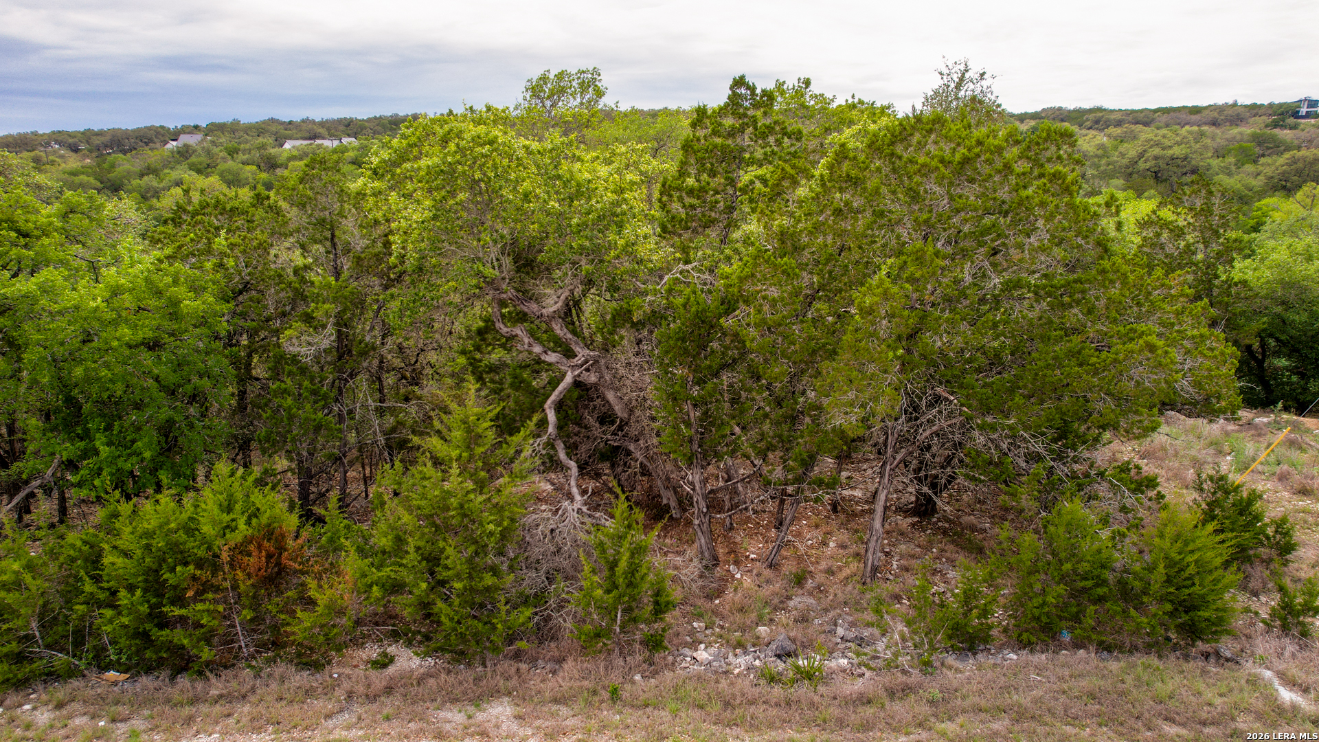 183 Palm Spring Branch TX 78070