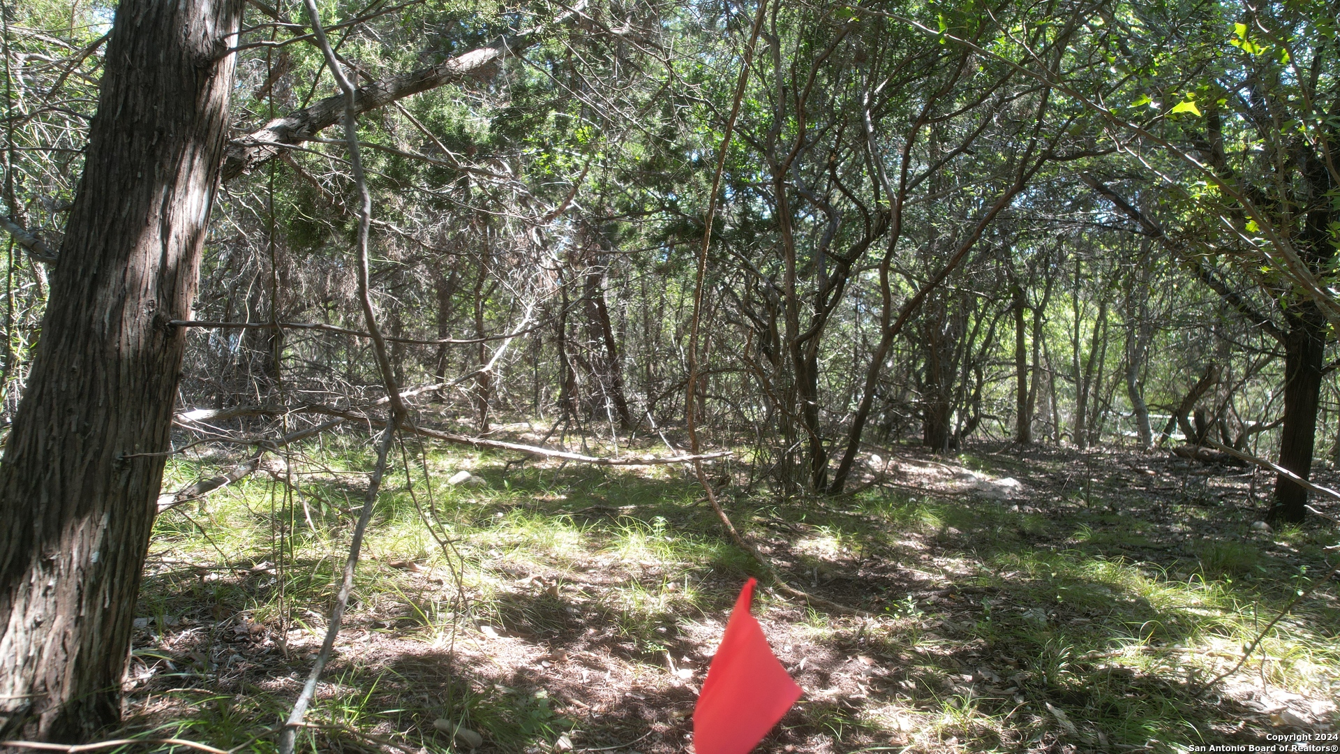 11736 Seiffert Live Oak TX 78233