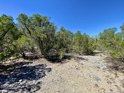 Lot 345 Pr 1747 Mico TX 78056
