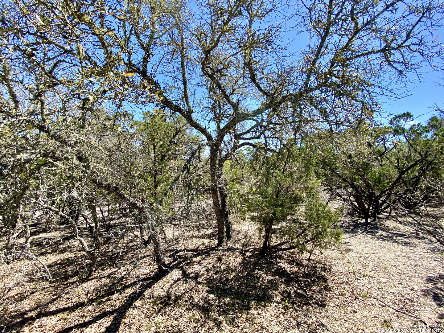 Lot 345 Pr 1747 Mico TX 78056