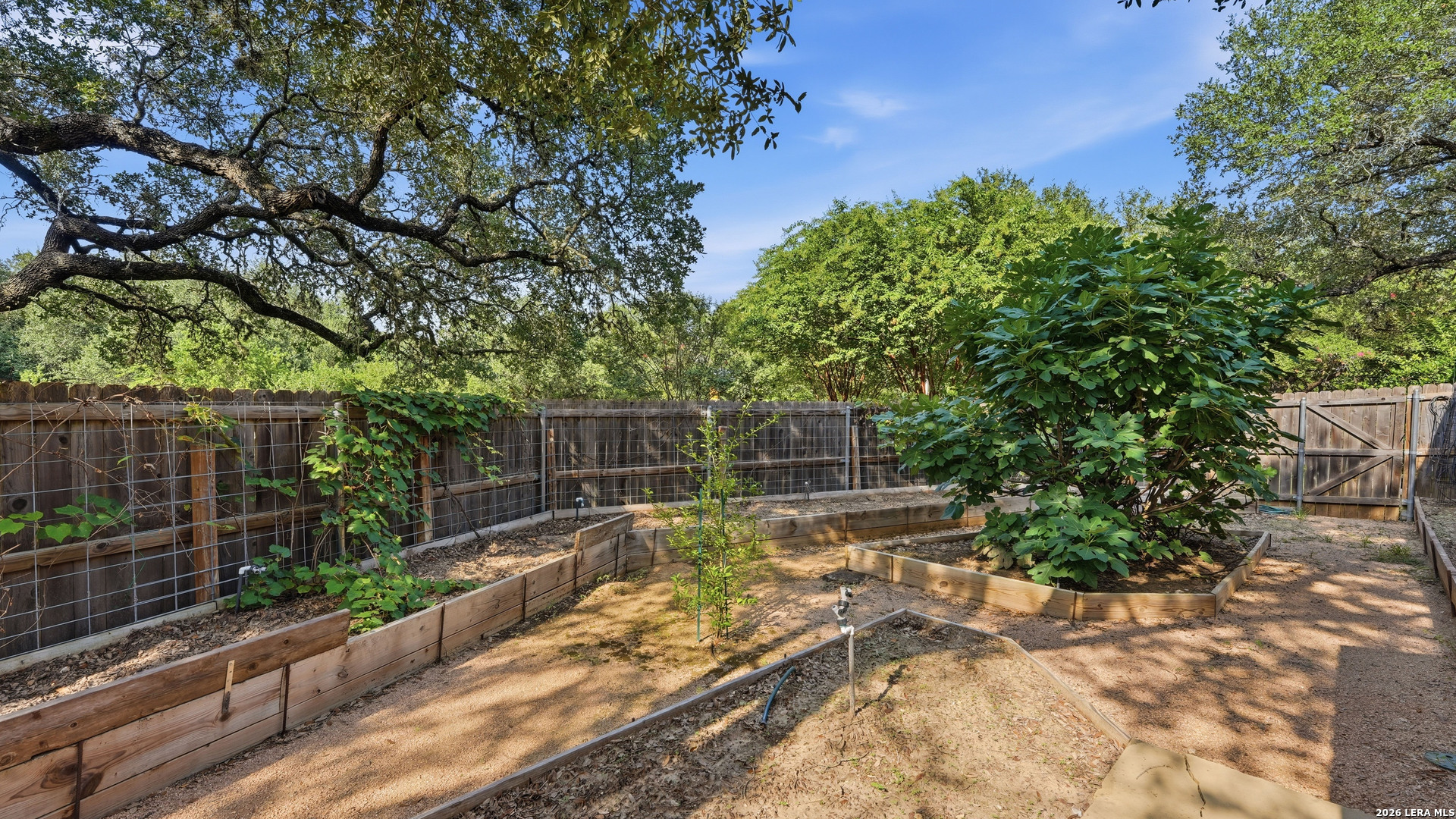 3299 Espada New Braunfels TX 78132