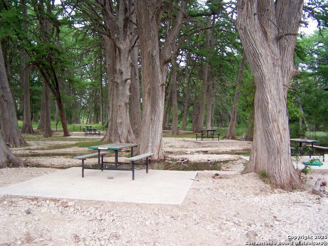 319 River Tree Leakey TX 78873