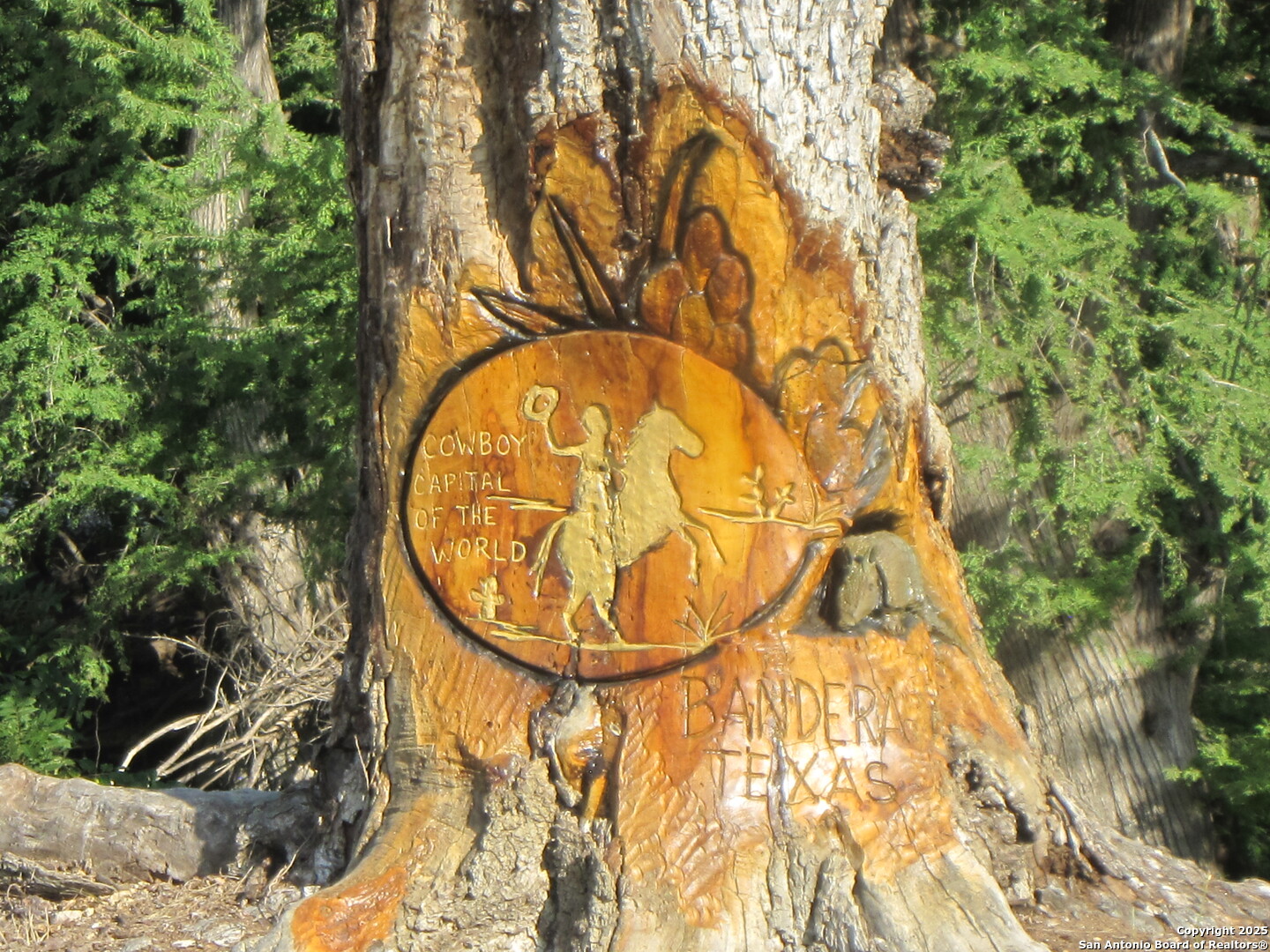 Tbd Lot 1 Pecan Bandera TX 78003