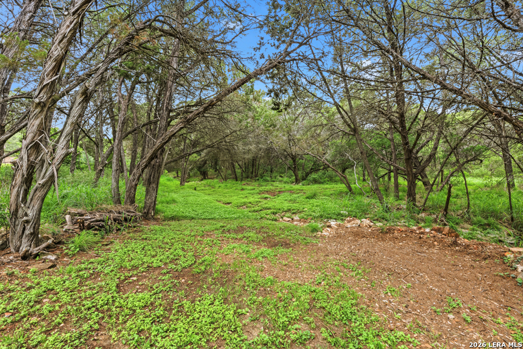 51 Hunters Point Drive New Braunfels TX 78132