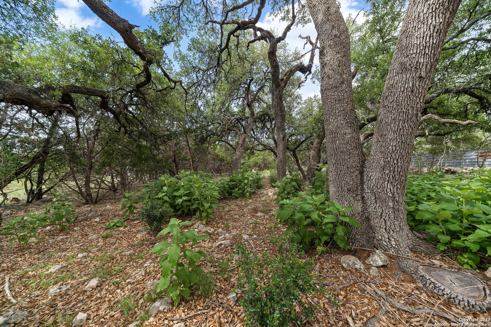 337 Saddle Mountain Boerne TX 78006