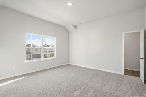 10115 Carnelian Cove San Antonio TX 78245