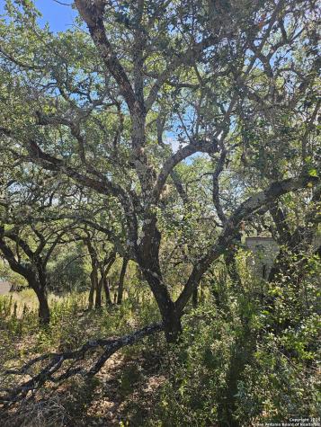 1437 Trailridge Drive Canyon Lake TX 78133