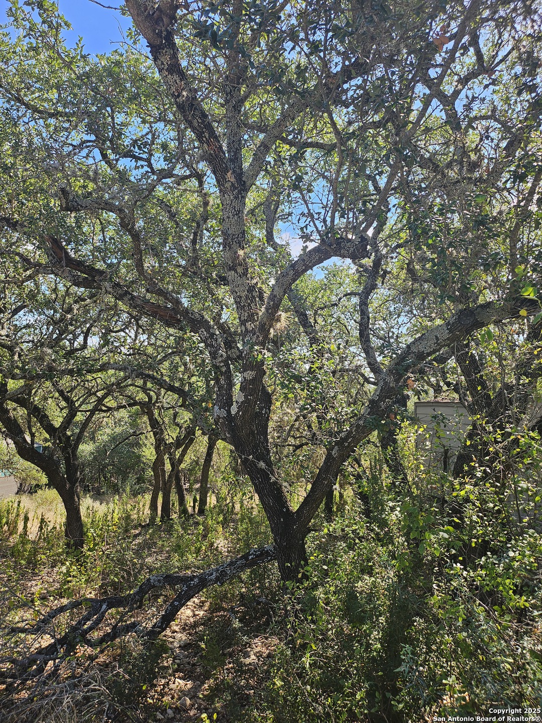 1437 Trailridge Drive Canyon Lake TX 78133