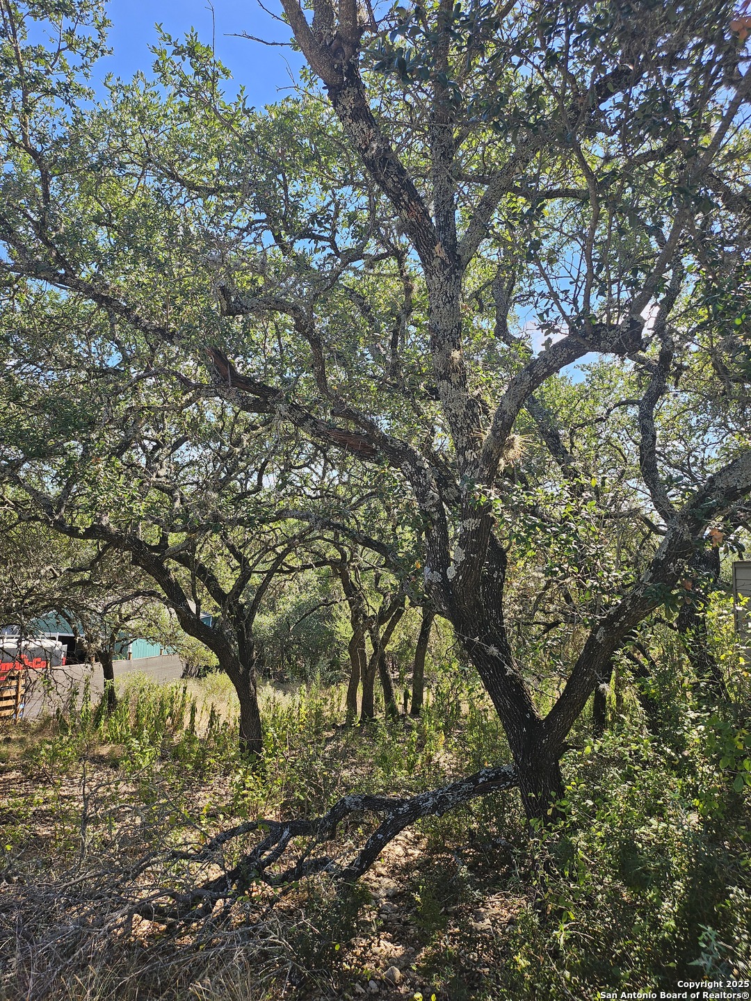 1437 Trailridge Drive Canyon Lake TX 78133
