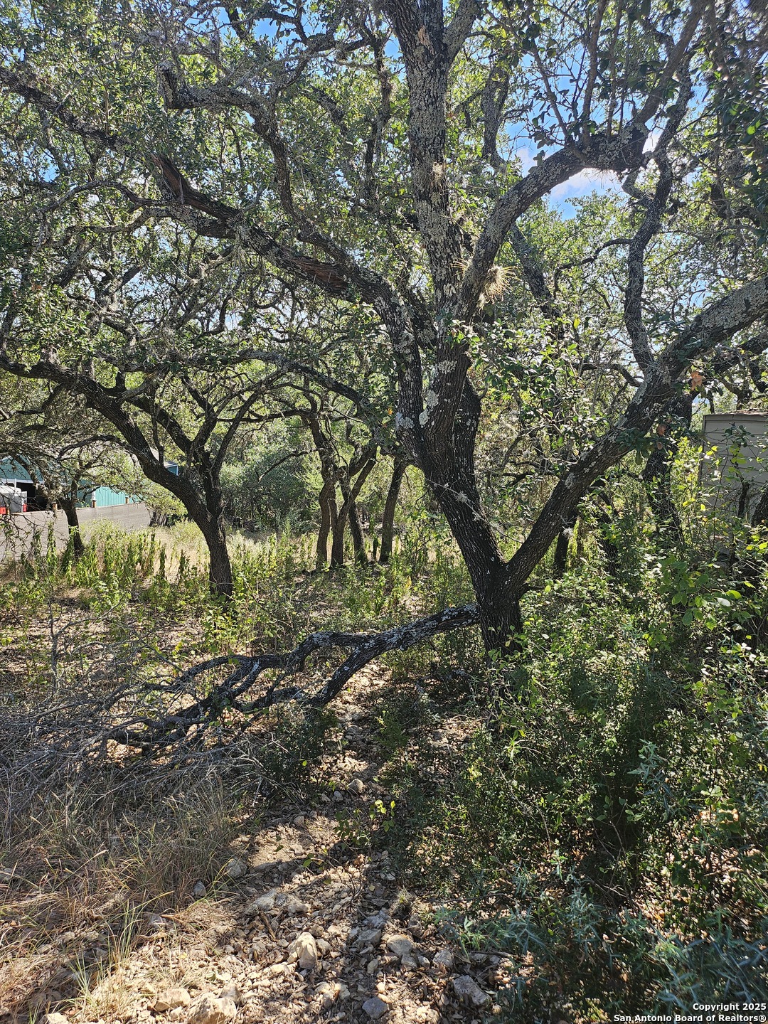 1437 Trailridge Drive Canyon Lake TX 78133