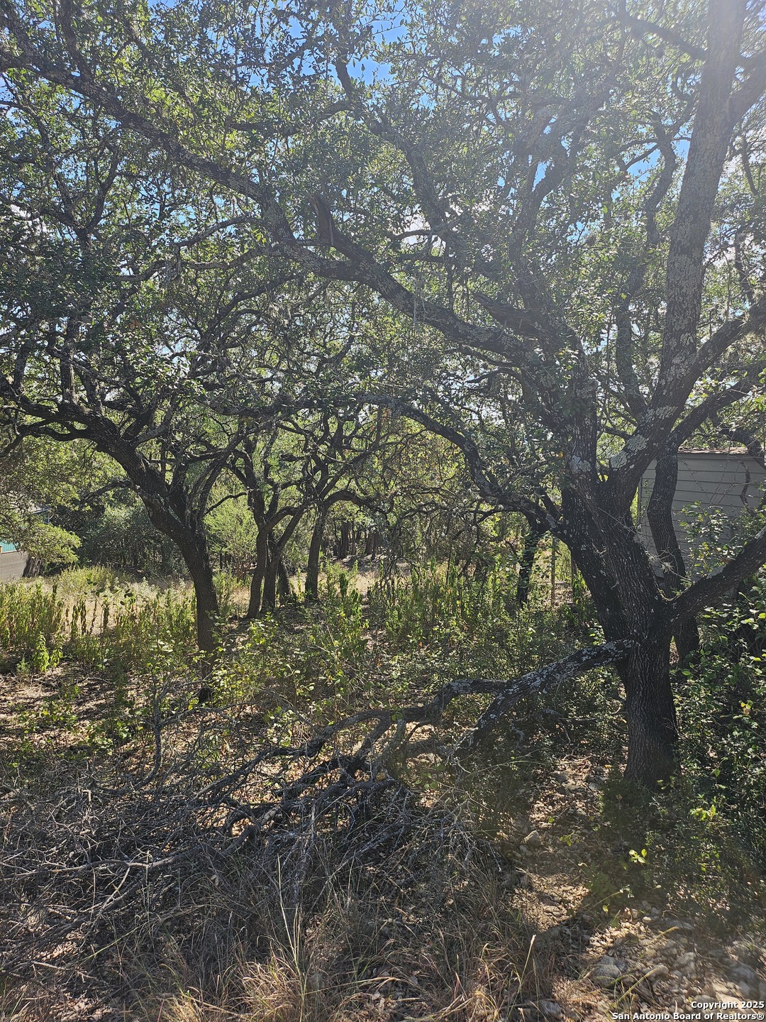 1437 Trailridge Drive Canyon Lake TX 78133
