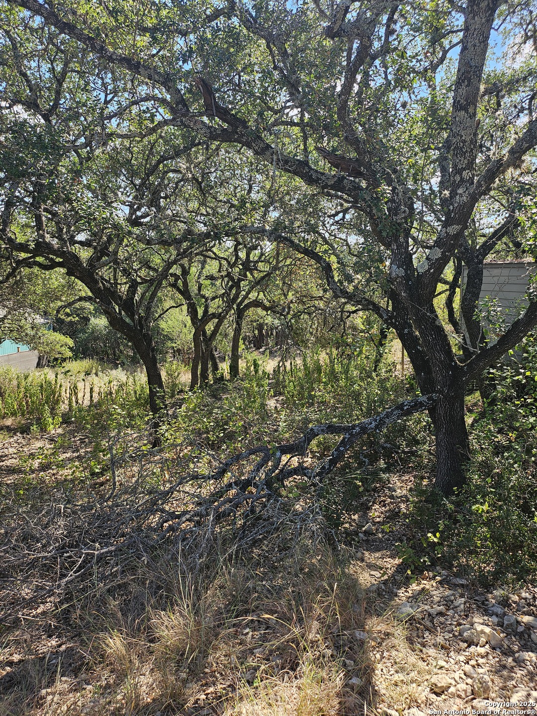 1437 Trailridge Drive Canyon Lake TX 78133