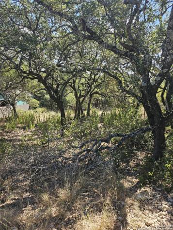 1437 Trailridge Drive Canyon Lake TX 78133