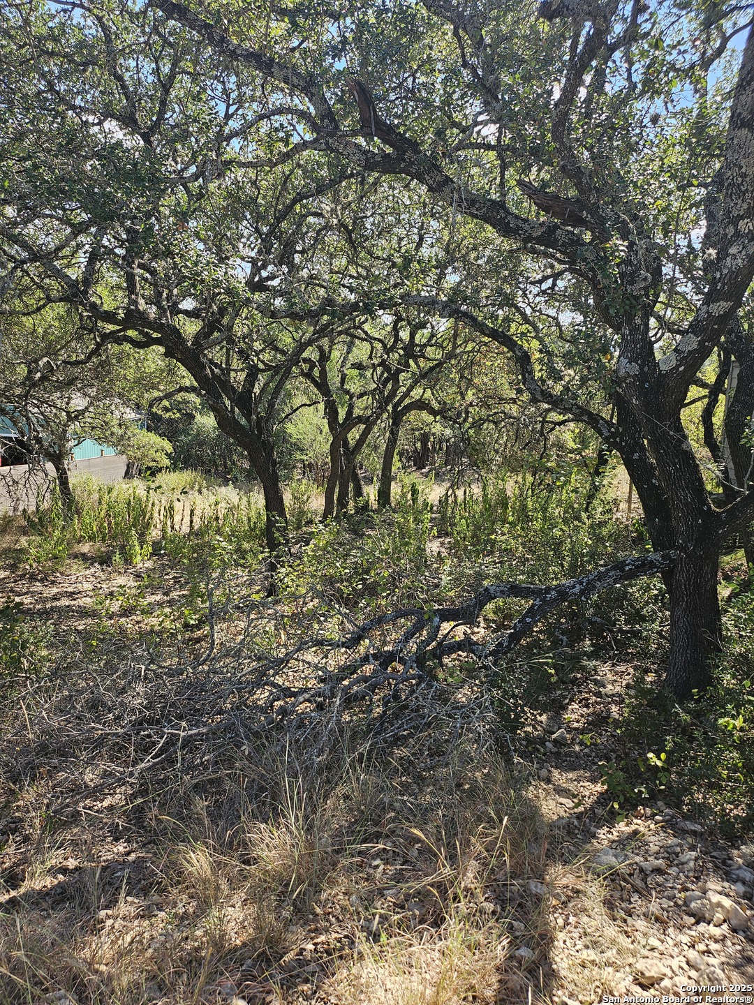 1437 Trailridge Drive Canyon Lake TX 78133