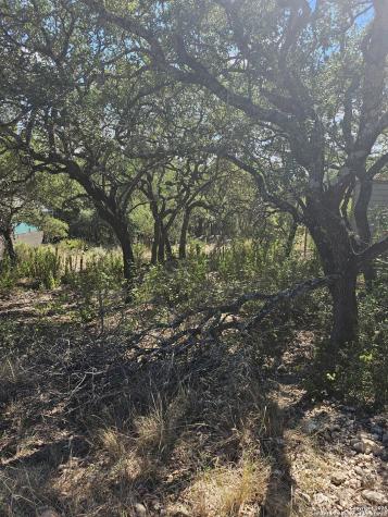 1437 Trailridge Drive Canyon Lake TX 78133