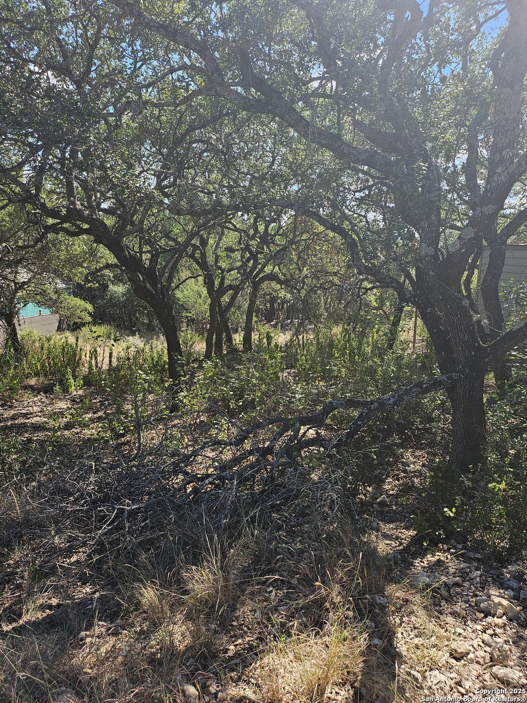 1437 Trailridge Drive Canyon Lake TX 78133