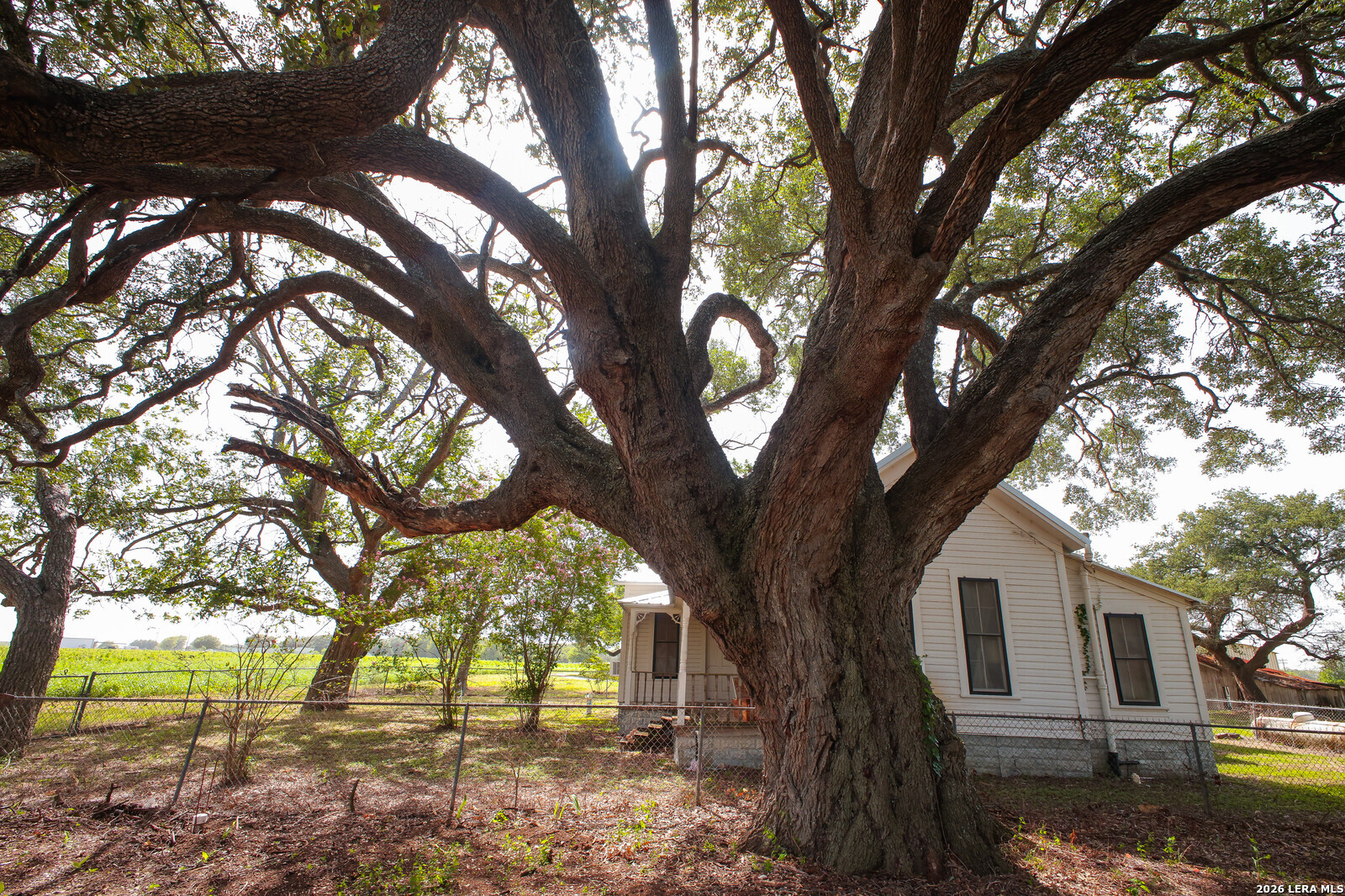 4901 Lower Seguin (5 Acres) Road Cibolo TX 78108