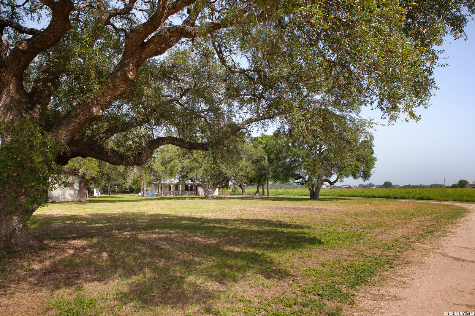 4901 Lower Seguin (5 Acres) Road Cibolo TX 78108