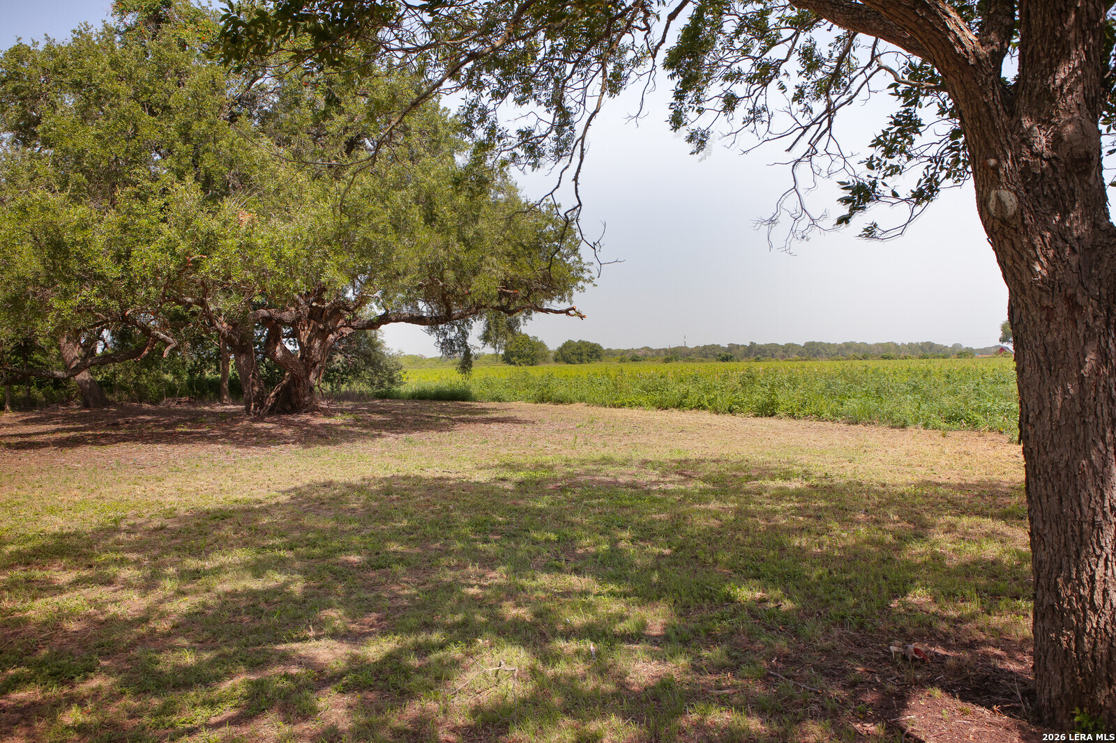 4901 Lower Seguin (5 Acres) Road Cibolo TX 78108