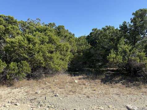 Lot 90 Deer Creek Spring Branch TX 78070